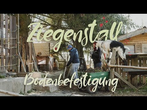 , title : 'Ziegenstall Bodenbefestigung | Ziegenhaltung'