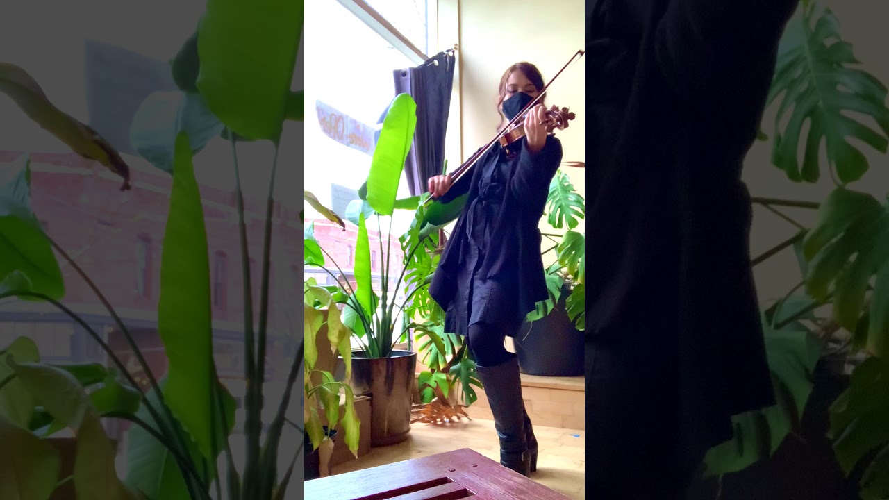 Promotional video thumbnail 4 for Silver Strings Ensemble
