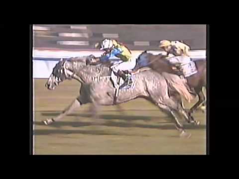 1994 TEN Sports Tonight _ Metropolitan Handicap Day