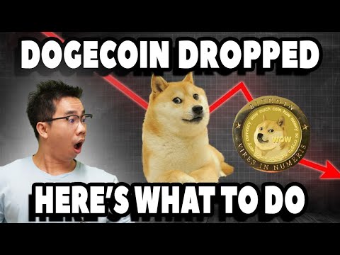What To Do If You buy Dogecoin At 40-45 Cents & Now it Dropped to 20 Cents | DON'T PANIC! WATCH THIS
