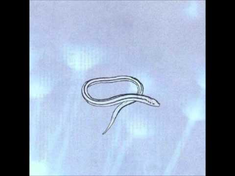 Crooked Fingers - Here Come the Snakes