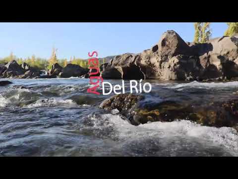 Aguas del río Nahueve