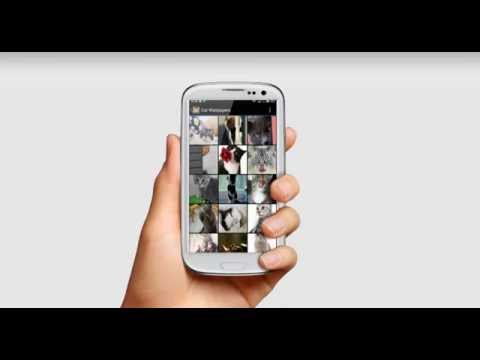 Cat Wallpapers Video