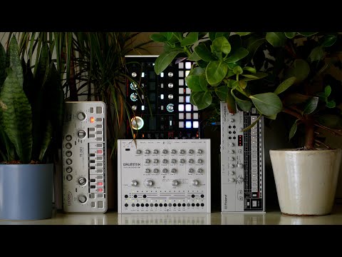 Snot Monkey - Acid 236 (Hydrasynth, TT-303, TR-06, Drumatix) (melancholic acid ballad)