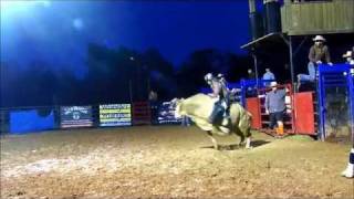 preview picture of video 'Colt Avant riding Cross S Bucking Bulls Dirty 12-17-11'