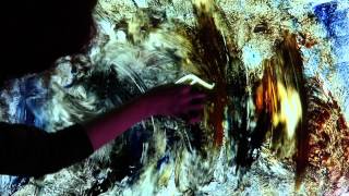 AniMotion at St Giles, Edinburgh (December 2013)