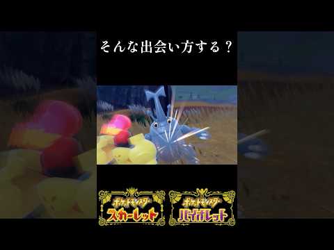 おまかせ有！ショート動画や切り抜きの編集を致します イメージ1