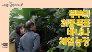 [나는농부다 243회] 부부의 최종 목표 바나나 체험 농장