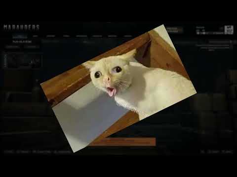 FASTEST 140K! FIRST RAID AFTER PRESTIGE | MARAUDERS