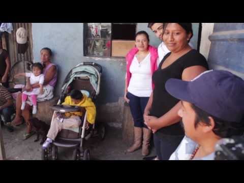 Don Leo - resultados