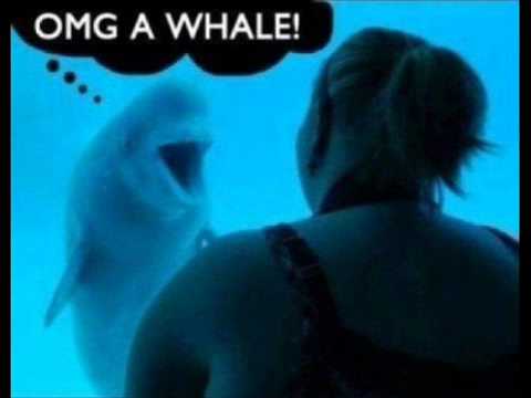 OMG - Whale With 2 Legs