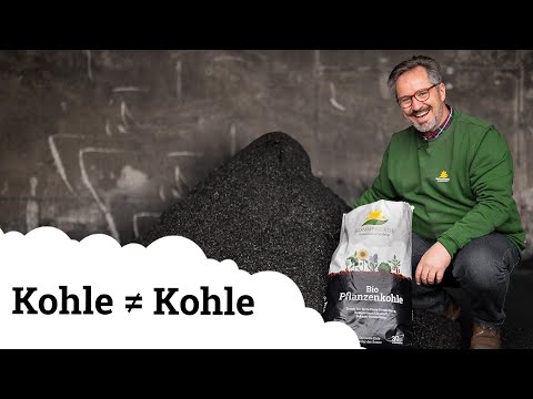 Pflanzenkohle // Aktivkohle // Tierkohle // Holzkohle | Was ist der Unterschied? 🤔🌱