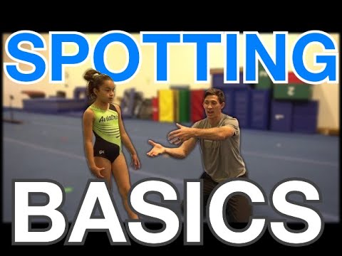 Assistance with the basics