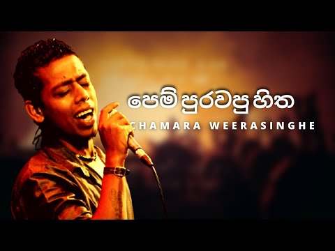 පෙම් පුරවපු හිත ( Pem Purawapu Hitha ) | CHAMARA WEERASINGHE | YK MUSIC