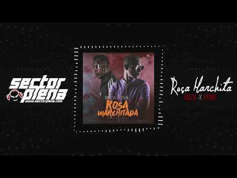 Boza Ft. Yemil - Rosa Marchitada (Audio)