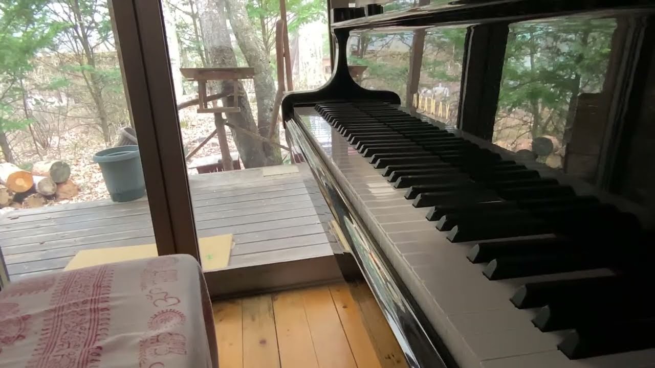 Morning Piano  6:55  恒例の朝活ピアノ🎹🎼🌳☕️ by SCHUN-CHEE