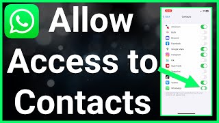 How To Allow WhatsApp Access To Contacts