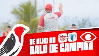 DE OLHO NO GALO DE CAMPINA - CRB X AVAÍ
