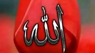 أرح قلبك بالقران الكريم #القرآن_الكريم #اكسبلور #قران_كريم #quran #explore #ytshorts #like #قرآن