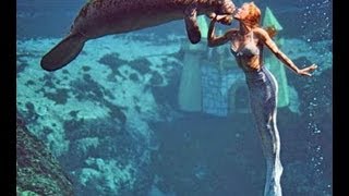In Search Of The Florida Mermaid!!! (11.6.12)