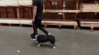 Video 1 trigger image
