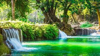 Download lagu Falun dafa music   Meditation music 2 Hour mp3