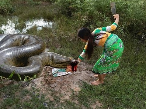 Amazing Children Catch A Big Snake With Bare Hand   How To Catch Snake In Cambodia