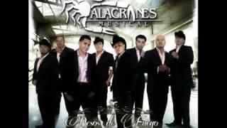 Alacranes Musical-Te Busque