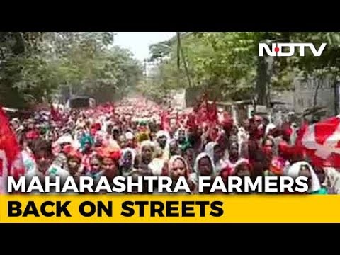 download lagu mp3 mp4 Land Acquisition For Bullet Train In Vadodara, download lagu Land Acquisition For Bullet Train In Vadodara gratis, unduh video klip Land Acquisition For Bullet Train In Vadodara