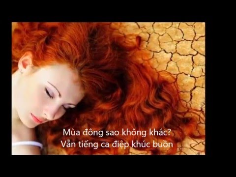Điệp khúc đêm đông Sheet - Hoàng Trung