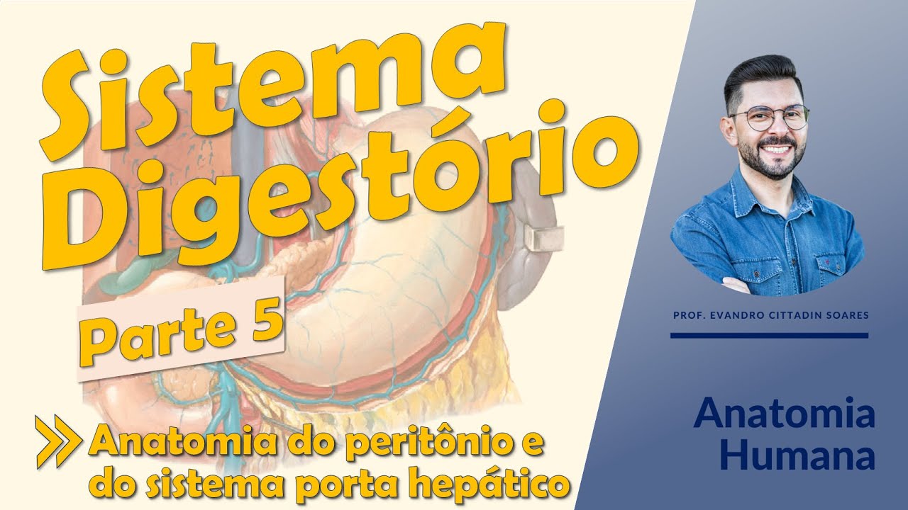 Sistema digestório - Aula 05 - Anatomia do peritônio e do sistema porta hepático - Anatomia Humana