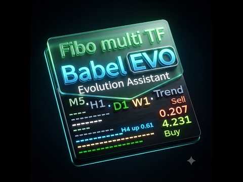 Video Babel EVO