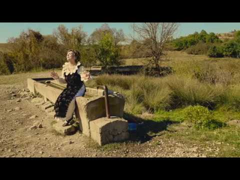 Asta-i braul banatean - Nicoleta Voica - 2019