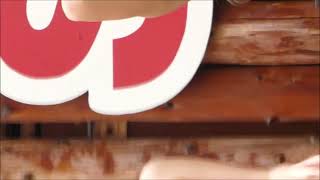 Kanae, Kazue, Haruka, Junon, Chiaki, Harachan, JENNY, Miyabi, CJD, SUMMERLAND IDOL CARNIVAL 2022