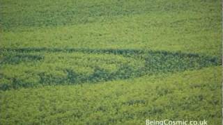 preview picture of video 'Crop Circle 2010, Old Sarum Crop Circle, England, Crop Formations'