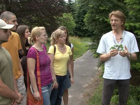 Biologie studieren in Marburg (2008)