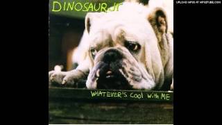 Dinosaur Jr. - Whatever's Cool With Me