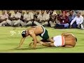 Kabaddi Song Sukwinder Singh Jithey Gaye Punjabi Le Gaye Naal Kabaddi Nu