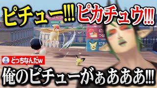 【Pokémon LEGENDS】毎回即4するピチューを進化させるために奮闘するチャイカｗ【にじさんじ】