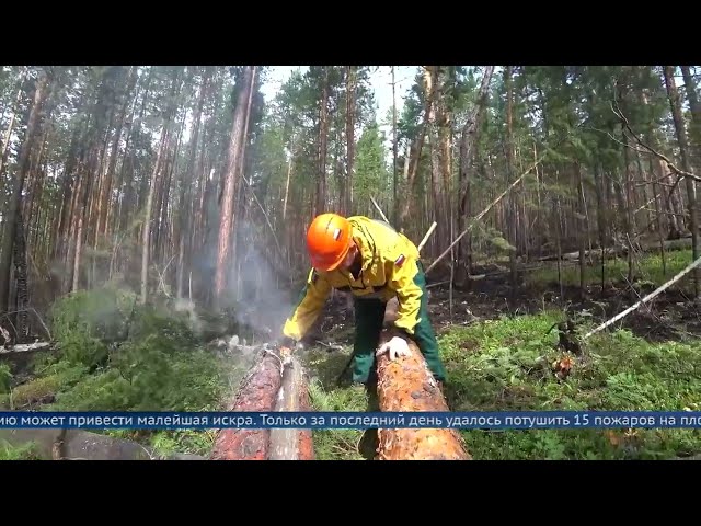 С 27 мая пожароопасный сезон открыт в Бодайбинском, Мамском и Катангском лесничествах