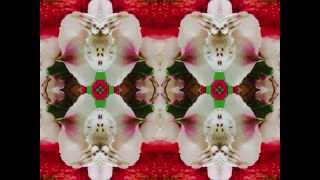 may this be love (by Emmylou Harris w/The Daniel Lanois Band live in London '95)