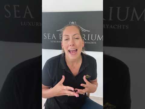 Silver vs Stainless Steel cutlery