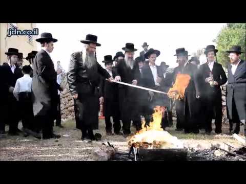 Lag Baomer 5776 With Koidonov Rebbe