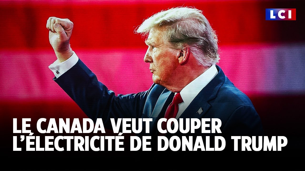 En riposte aux menaces de Trump, une province canadienne envisage de lui couper son électricité｜LCI