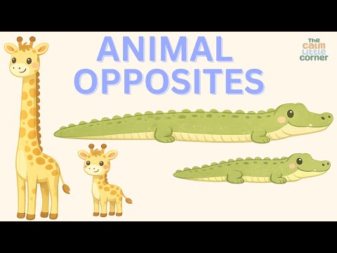 Animal Opposites for Toddlers | Big & Small, Long & Short | Learn Opposites