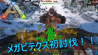 【ARK Survival Evolved】メガピテクス(ベータ)初討伐！ in ISLAND【Möbius Syndrome】