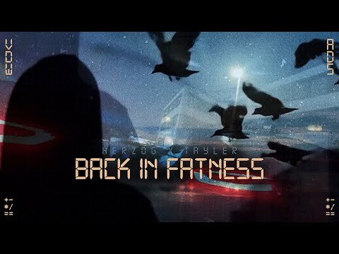 Herzog & Tayler - Back in Fatness (prod. von Mike Martn)