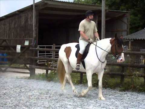 Ballad of the absent mare- Perla Batalla