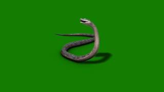 Download lagu Green screen for Nagin mp3 Download lagu Green screen for Nagin mp3