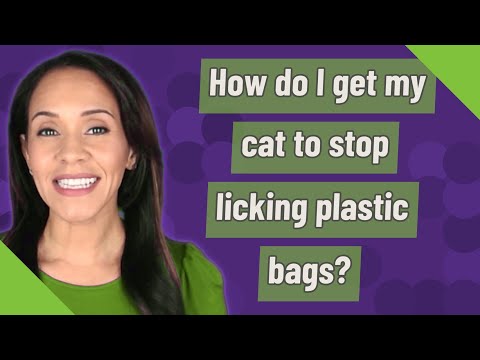 How do I get my cat to stop licking plastic bags?